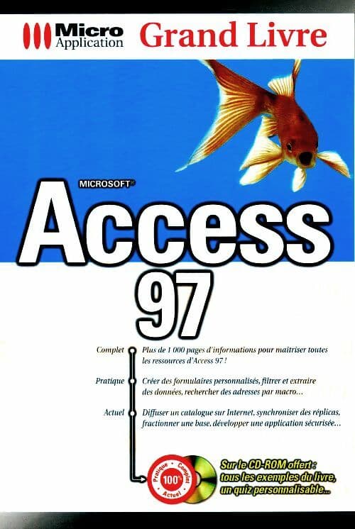 Access 97 - Irene Bauder